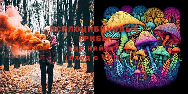 jwh Вязьма
