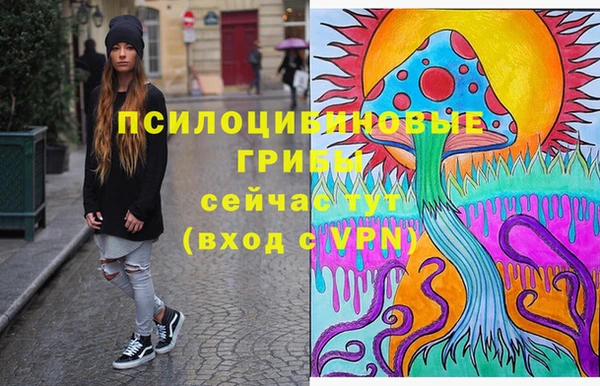 молекула духа Володарск